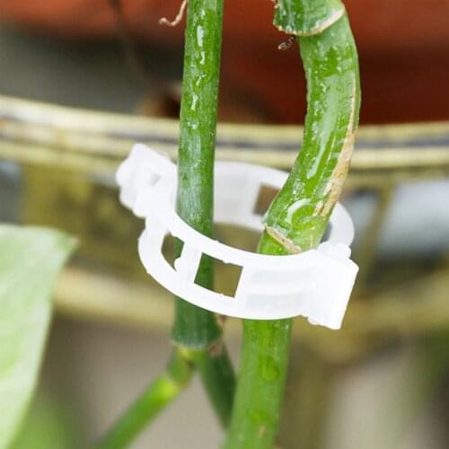Support Clips Grafting Fixed Clamp Plant Connector Vine Growing White Hanging Reusable Watermelons Wire Nets Plastic Connects