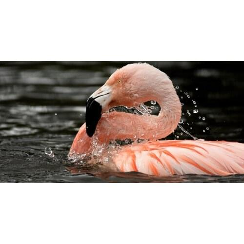 Flamingos Towel Custom Microfiber Beach Towel For Adult serviette de plage toalha 70x140cm Travel Gym Sport Drying Bath Towel