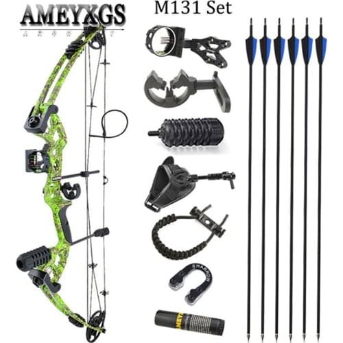 30-55lbs Archery Pulley Compound Bow with 5-pin Sight Bow and Arrow Shooting Training Outdoor Hunting Fishing Carbon Arrow Set