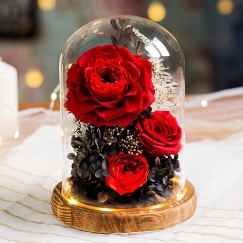 2021 New Christmas Present Valentines Day Gift The Beauty And Beast Rose Eternal Rose With LED Light In Glass Dome Birthday Gift