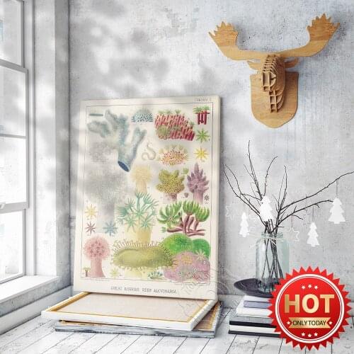 William Saville Kent British Museum Exhibition Poster, Vintage Art Great Barrier Reef Alcyonaria Art Illustration Wall Picture