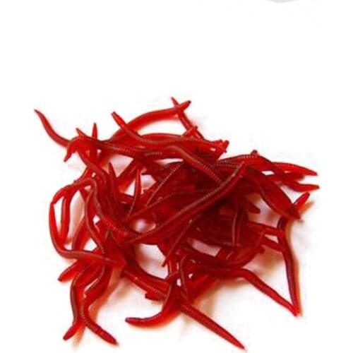 50/80/100pcs Red Worm Soft Lure Lifelike Earthworm Fishing Silicone Artificial Bait Tackle Fishy Smell Shrimp Additive Bass Carp