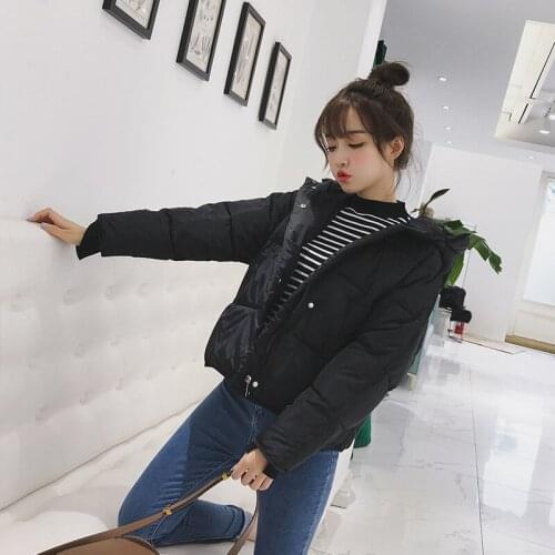 Женские парки с капюшоном Zwblinlovek China At AliExpress