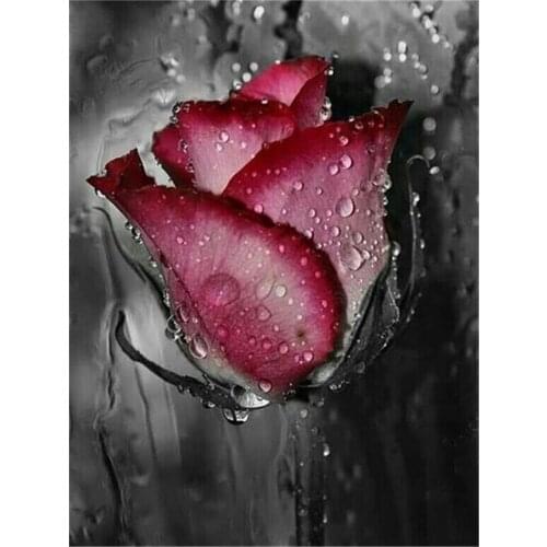 Flower Roses DIY 11CT Embroidery Cross Stitch Kits Needlework Craft Set Cotton Thread Printed Canvas Home Decoration On Room