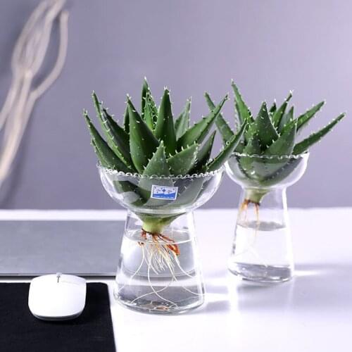 ZJMZYM Scandinavian Flower Vases