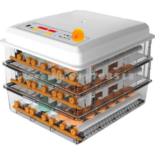 Incubator Small Home Automatic Chicken Breeding Machine Children Mini Water Bed Incubator Incubator