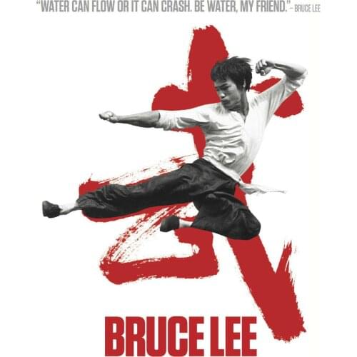 Bruce Lee Martial Arts MOVIE Art print Silk poster Home Wall Decor
