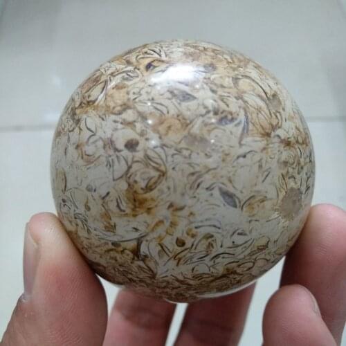 227g Awesome! Dinosaur Bone Fossil Crystal Ball Sphere Madagascar