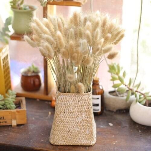 60Pcs Natural Dried Flowers Lagurus Ovatus raw color Rabbit Tail Grass Real Flower Bouquet for Party House Wedding Decoration