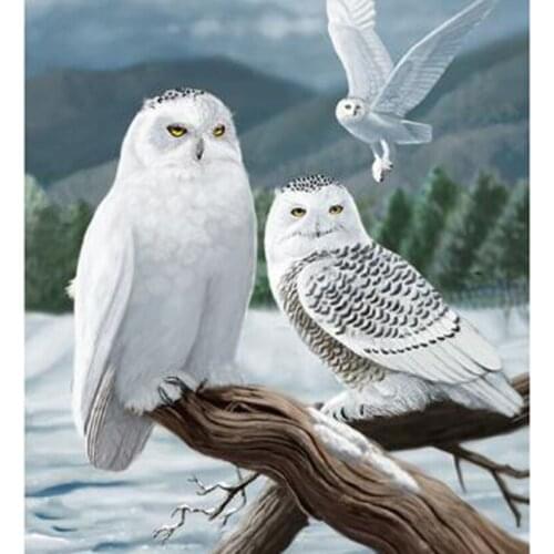 5D DIY Diamond Painting Square/Round Diamond Animal Painting Three Owls Picture Cross Stitch Mosaic Home Decoration WG2840