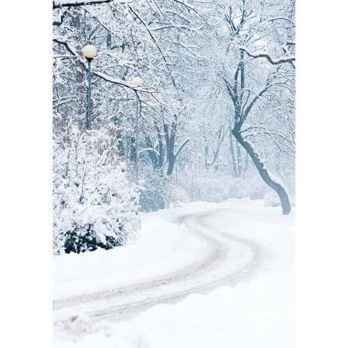 5x7ft Thin vinyl cloth Christmas photography backgrounds computer Printing photo backdrops for photo studio free shipping ST-529