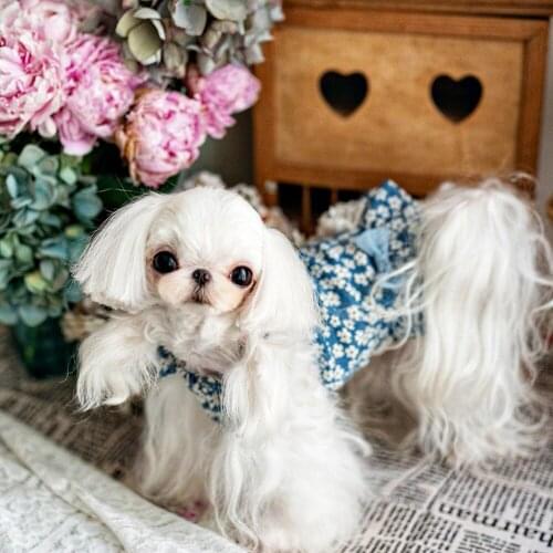 Cute Small Dog Dress Summer Pet Skirt Princess Costume Doggie Yorkshire Pomeranian Poodle Schnauzer Pug Dog Clothes Pet Clothing