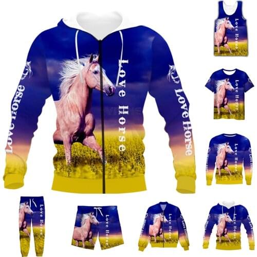 New Fashion 3D Full Print Palomino Horse T-shirt/Sweatshirt/Hoodies/Zip Hoodies/Thin Jacket/Pants Four Seasons Casual Suit
