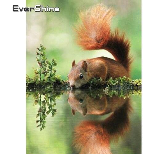 Evershine Diamond Painting Squirrel 5D DIY Mosaic Picture Of Rhinestones Animals Embroidery Sale Decoration Home