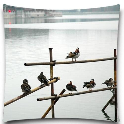 A flock of birds Parked on the fence 2D print creative Pillow case Square cotton polyester cushion cover 5 size 9 style
