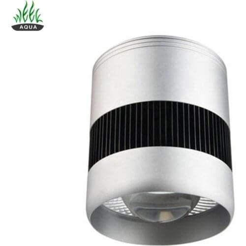 WEEK Lighting For Aquariums