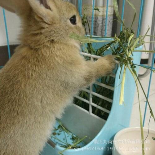 Rabbit Feeder Bowl Guinea Pig Food Box Fixed Feed Trough Trough Dinner Bowl Food Basin Bowl Rack Rabbit Pet Farm Animals