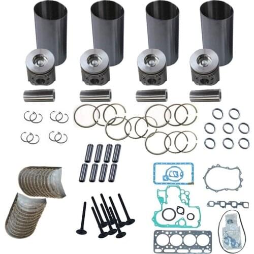 S4L2 S4L S4L2-SD Overhaul Rebuild Kit for Terex TC35 Excavator Repair