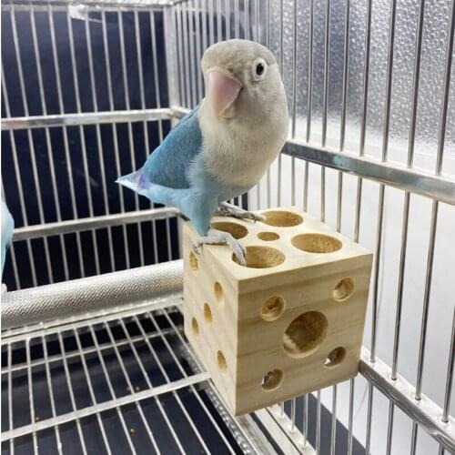 MOCUTE Products For Birds