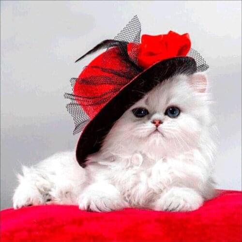 White cat DIY Diamond Painting lady cat full square DIY Diamond embroidery full round White cat Diamond painting Mosaic cat