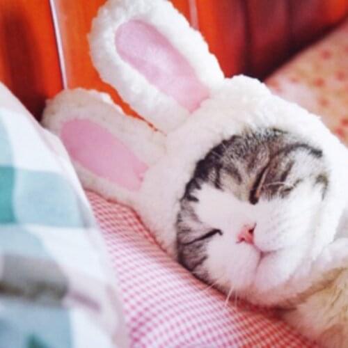 1pc Short Plush Cute Cartoon Rabbit Ear Pet Cat Dog Puppy Hat Cap Halloween Costume Cosplay Masquerade Party Gift Pet Supplies