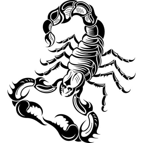 RuleMylife Fierce Scorpion Vinyl Animal Car Stickers For laptop Wall Water Cup Bmw E46 And Other Automobile Accessories Decorate