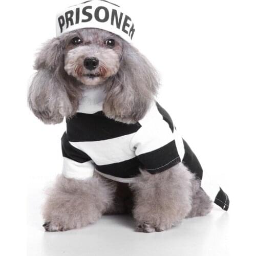 Костюмы для собак Chicdog China At AliExpress