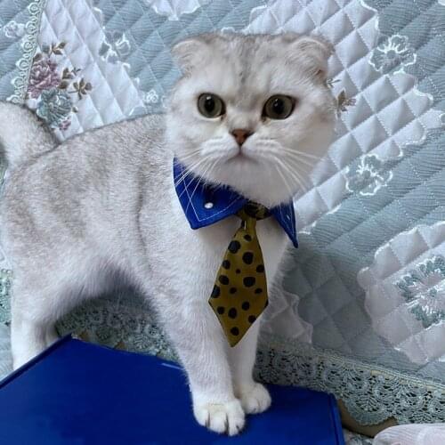 Nanami Kento Tie Anime Jujutsu Kaisen Cosplay Pet Cat Dog Neck Ties Christmas Halloween Costume Accessories