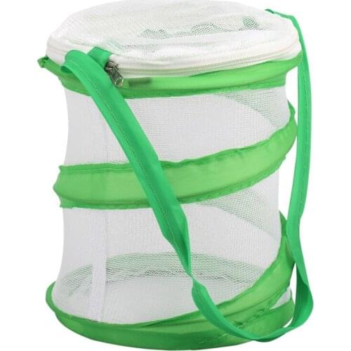 Small Praying Mantis Stick Insect Butterfly -up Cage Housing Enclosure