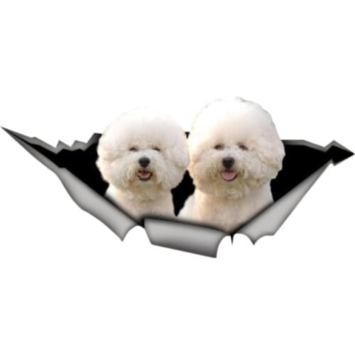 Funny Bichon Frise Car Sticker Car Accessories Vinyl Decal Cover Scratches Waterproof PVC 13cm X 6cm