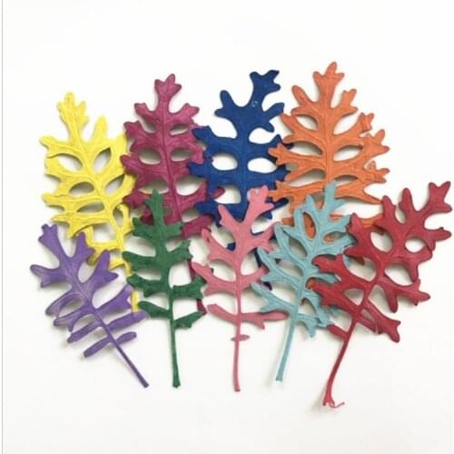 120pcs Pressed Dried Jacobaea maritima Leaf Flower Herbarium For Nail Art Face Jewelry Case Bookmark Invatation Card DIY Making