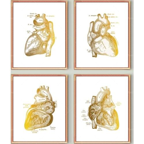 Anatomical Heart Print, Vintage Cardiology Art, Heart Structure Poster, Medical Art, Cardiologist Gift, Surgeon Gift, Doctor Off