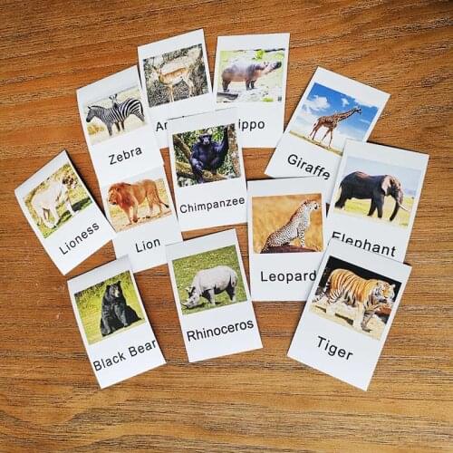 12pcs Montessori Cards Animal Learning Flash Card Educational Toys For Children Language Learning For Toddlers