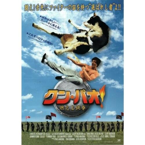 Kung Pow! Japanese MOVIE Art Silk Poster Print 24x36inch