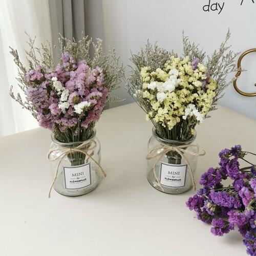 Myosotis Natural Dried Flower Birthday Hawaiian Party Decoration Woman Home Living Room Decor DIY Bookmark Bouquet de Mariage