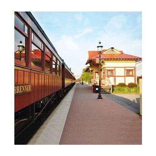 Photography Backdrop Outdoor Wedding Photo Background 200x300cm Custom Natural Backdrop Studio for Newborn Props