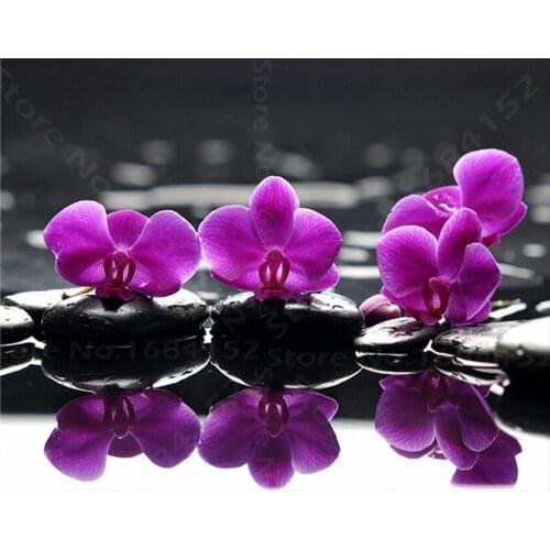 Full 5D Diy Daimond Painting Orchid Flowers cross stitch 3D Diamond mosaic square Rhinestones Diamant Painting Embroidery B98