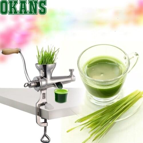Stainless Steel Manual Wheat Grass Juicer Fruit Vegetables Squeezer Juicer Hand Crank