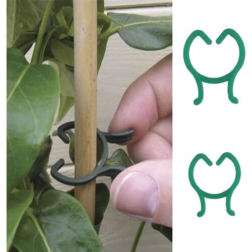 100PCS Vegetable Clips Garden Flower Gardening Bonsai Vine Fixed Clips Graft Plant Support Vine Clips Greenhouse Bracket Reusabl