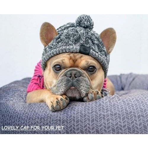 Lovely Dog Hats Pet Winter Warm Caps Windproof Knitting Cap French Bulldog Hat Pet Products Pet Cool Caps