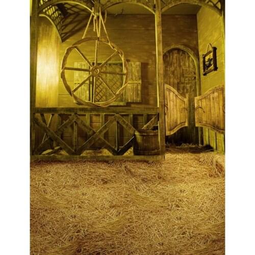 Farmland straw photo backgrounds polyester retro children photography backdrops for photo studio accessories photophone S-2394