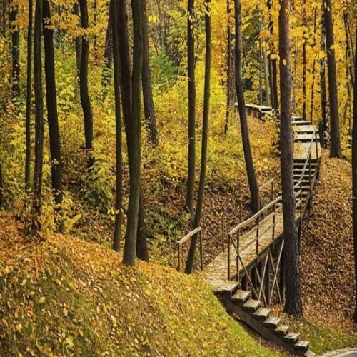 Dropshipping Colomac Photo Wallpaper Autumn Forest Bridge Road Custom Mural Wallpaper Murales Para Pared Wall Papers Home Decor