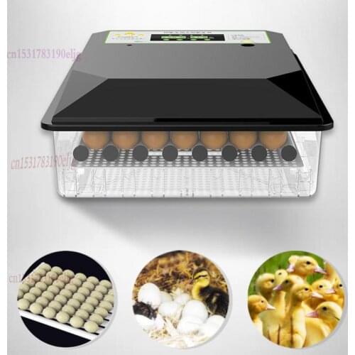 Incubator Full Automatic Intelligent Small Household Mini Chicken, Duck, Goose, Pigeon, Egg Water Bed Incubator