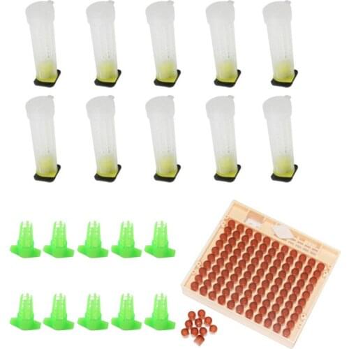 Bee queen cage and Cell Cup Box kit Farm Equipment Bee Queen Rearing System Bee Tool Beekeeping Supplies 1 Set