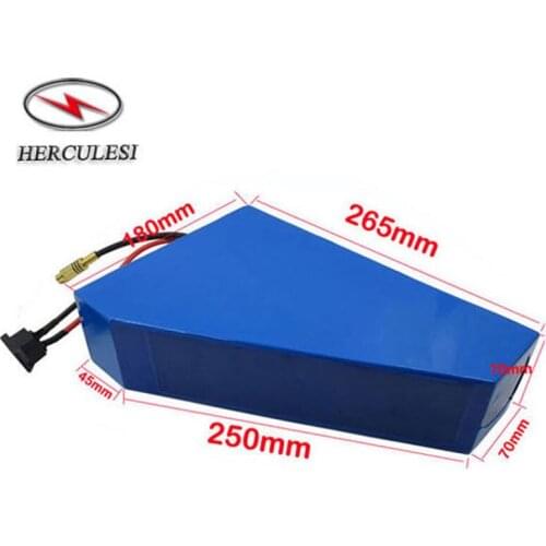 E-bike Batteries Riskcell China