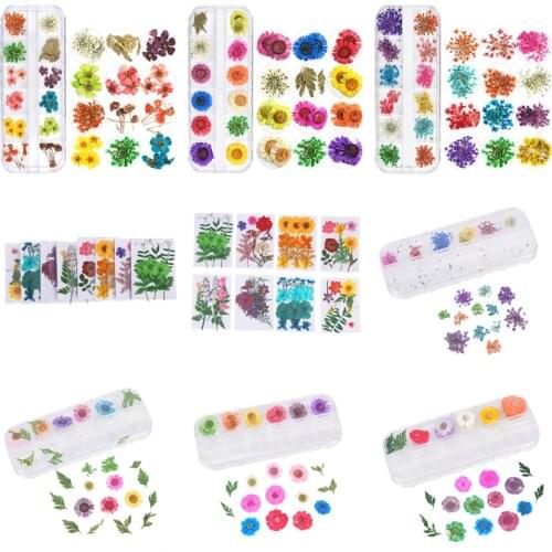 1Box Dried Flowers Leaf UV Resin Decoration Natural Floral Sticker 3D Dry Beauty Nail Art Decals Epoxy Mold DIY Filling Jewelry