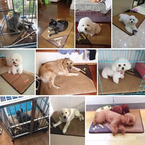 Dog Cooling Mat Pet Summer Bed Cat Mat Sofa for Dogs House