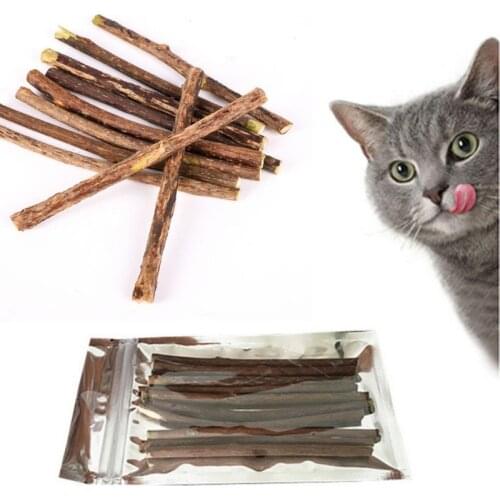 20PCS Pure Natural Wood Polygonum Sticks Pet Cat Molar Toothpaste Stick Cat Cleaning Teeth