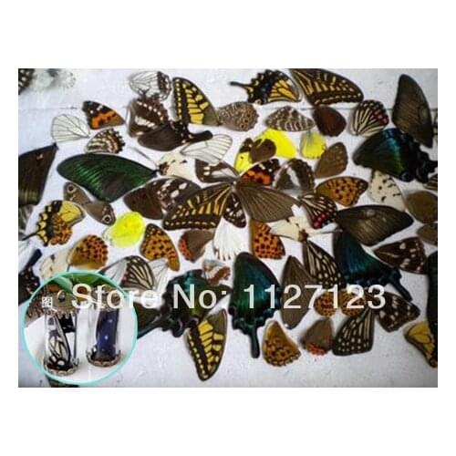 20pcs real butterfly wings,3D Butterfly specimens wings,Real Dried Moth butterflies wings for ring/necklace/framed butterflies