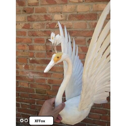 Beautiful simulation wings swan model foam&feather real life swan toy gift about 30x50cm xf2304